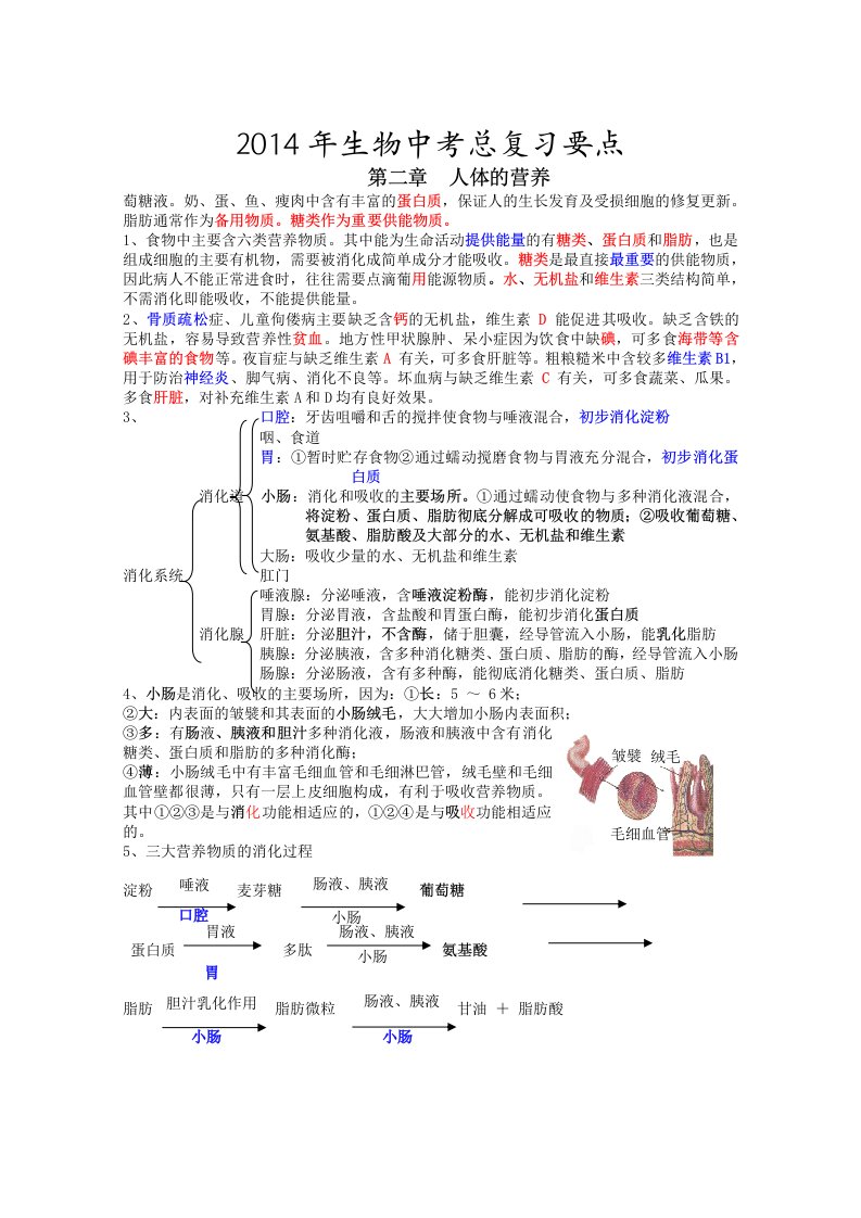 2013年宁夏初中生物中考总复习知识要点