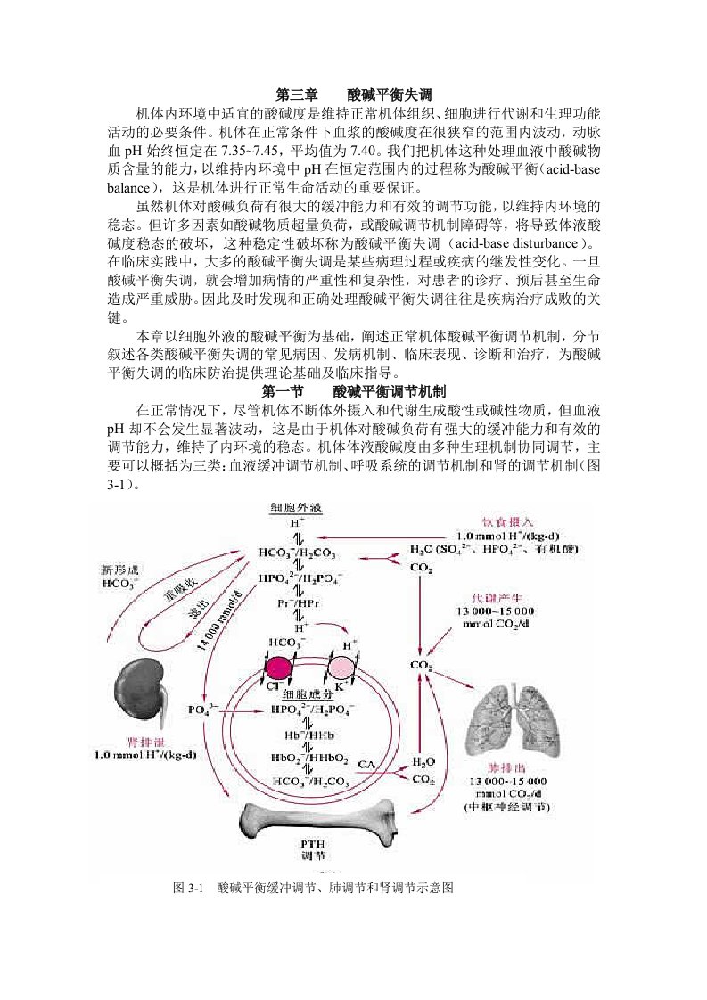 酸碱平衡失调