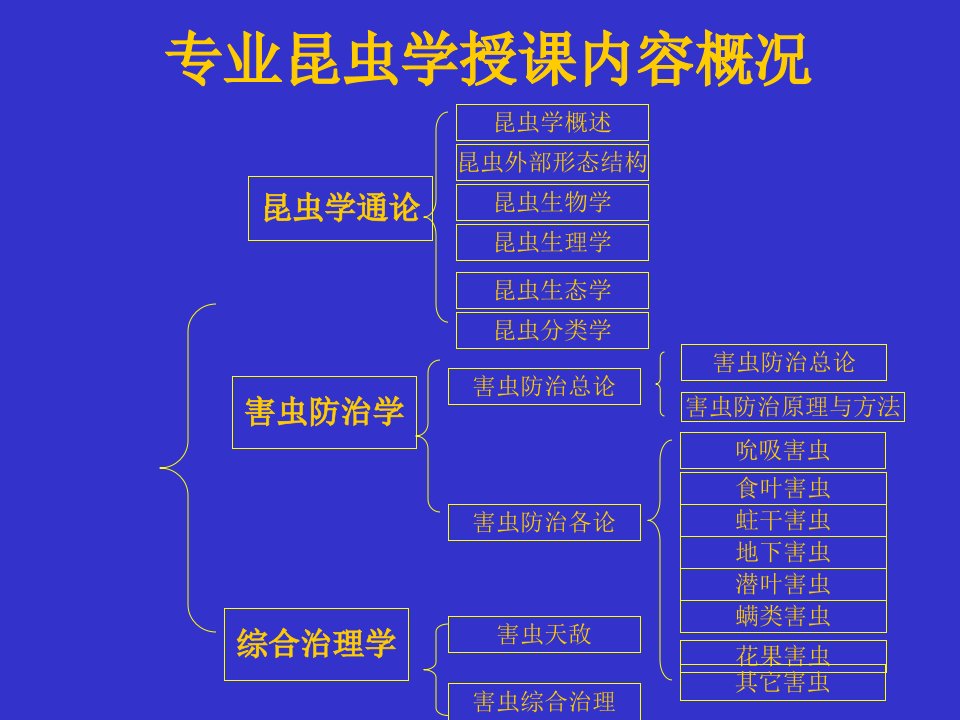 专业昆虫学授课容内概况