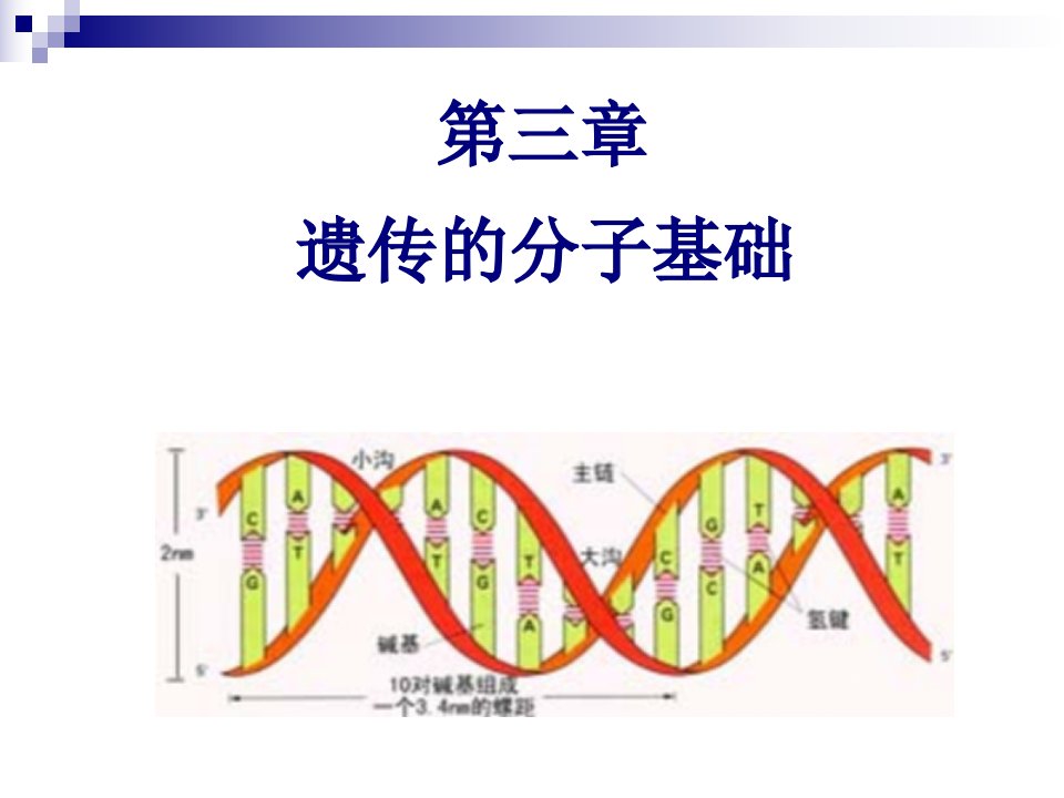 《分子基础傅》PPT课件