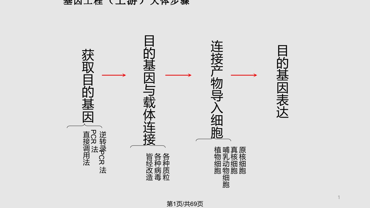 质粒图谱的阅读PPT课件