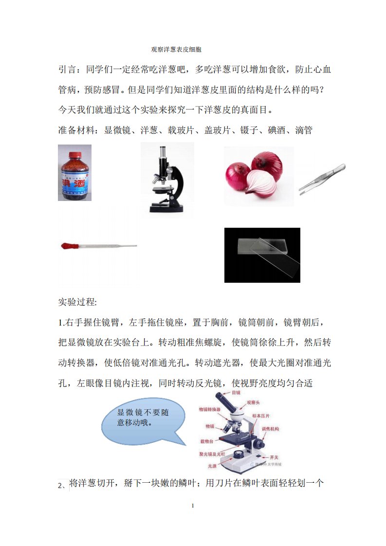 小学科学实验3、观察洋葱表皮细胞