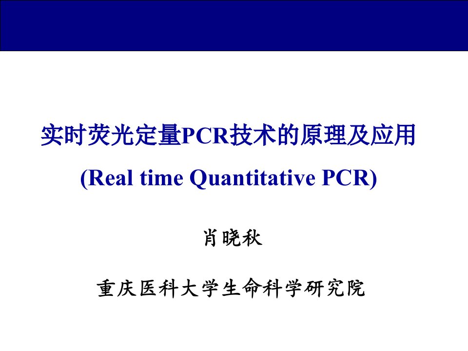 实时荧光定量PCR