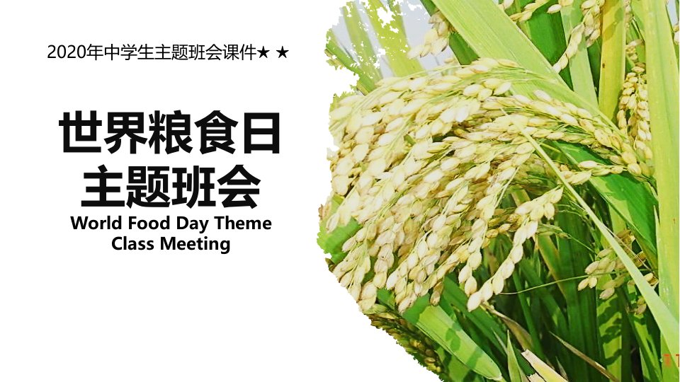 《世界粮食日主题班会》ppt班会课件