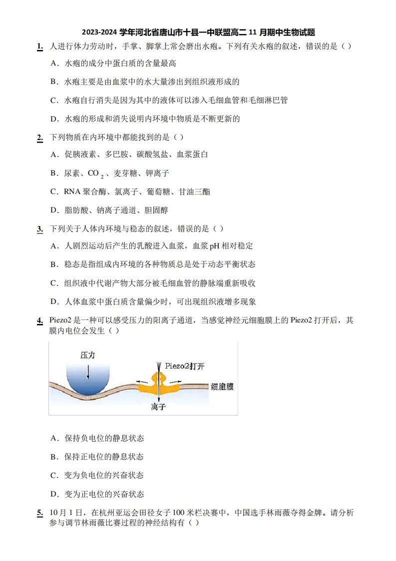 2023-2024学年河北省唐山市十县一中联盟高二11月期中生物试题