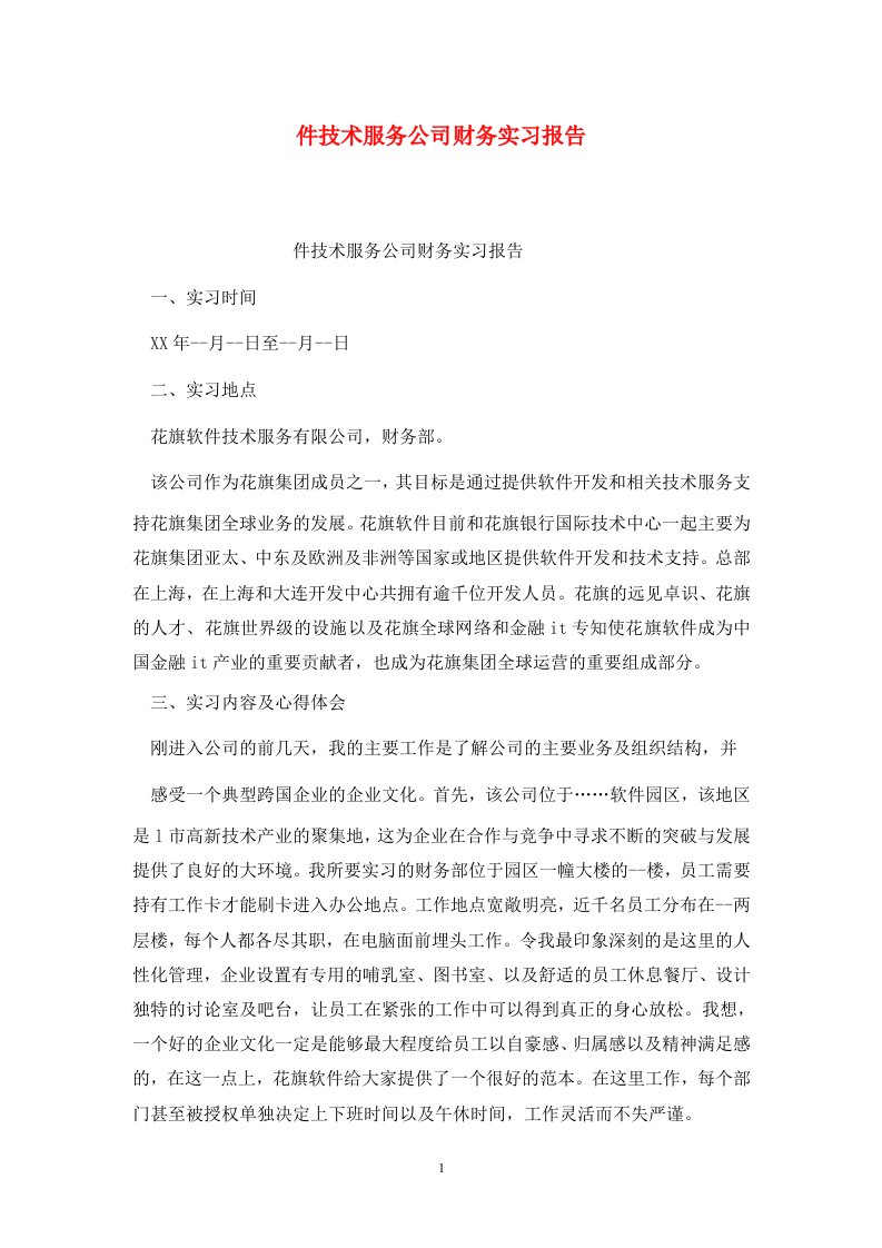 精选件技术服务公司财务实习报告