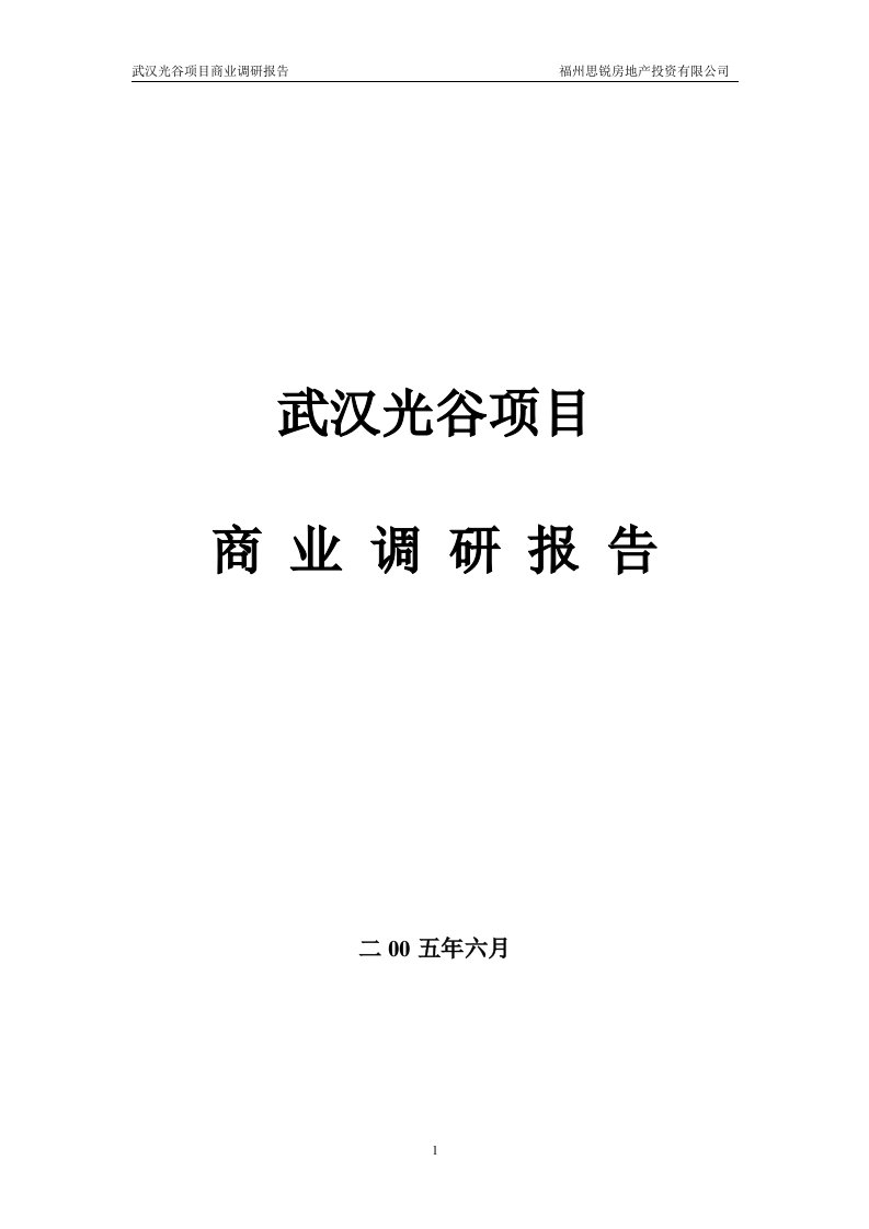 武汉光谷项目商业调研报告