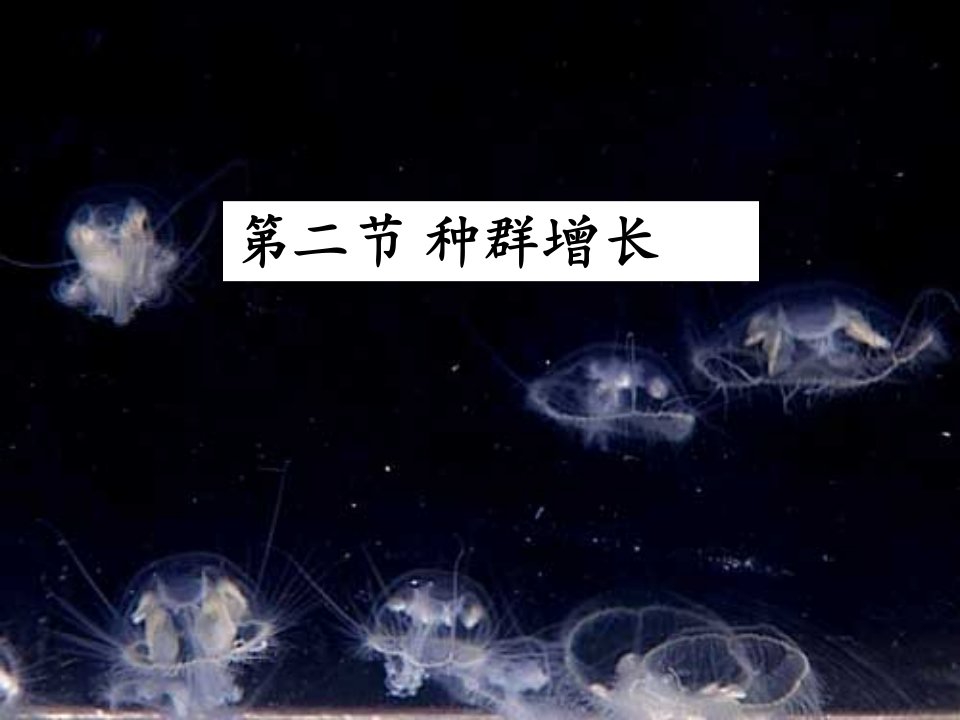 生态学--第三章