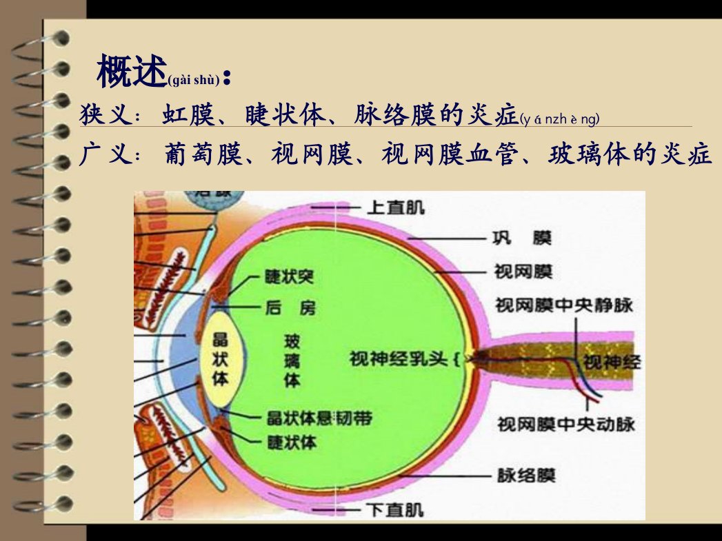 葡萄膜炎的健康指导