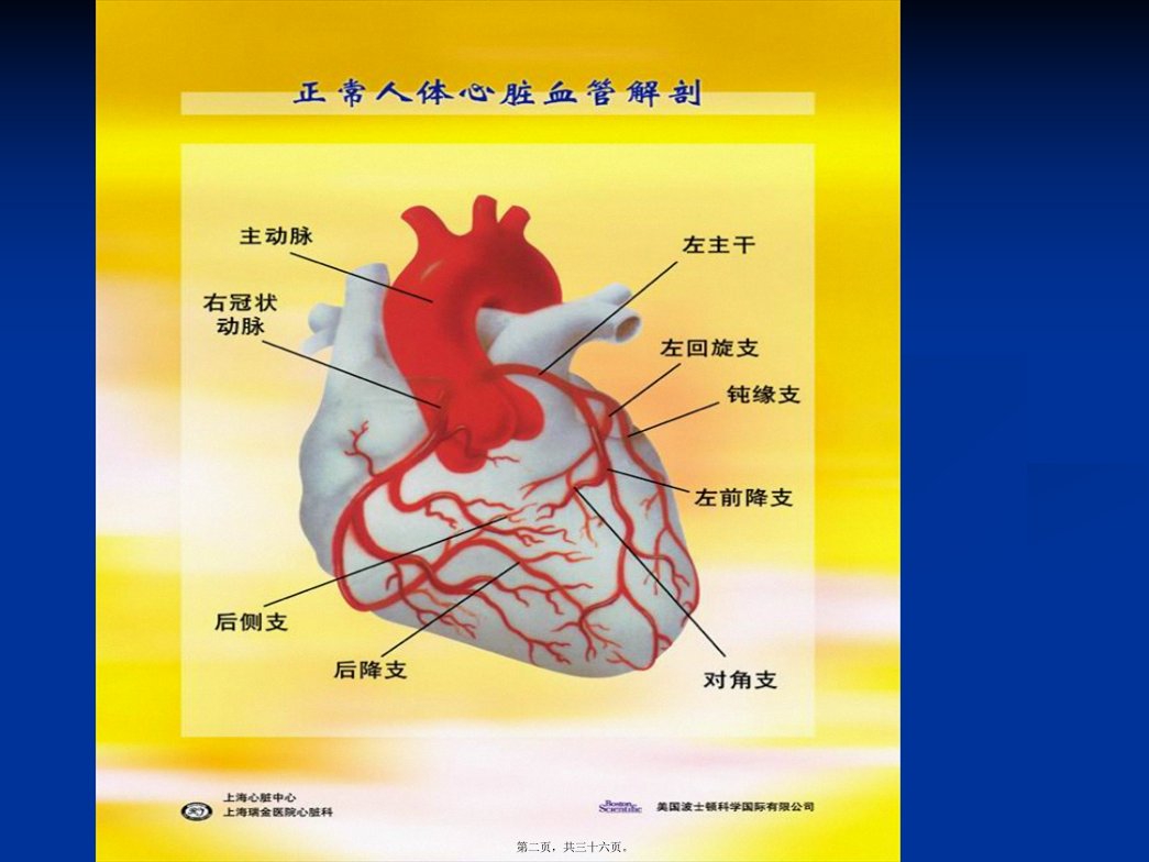 医学专题抗心绞痛药139