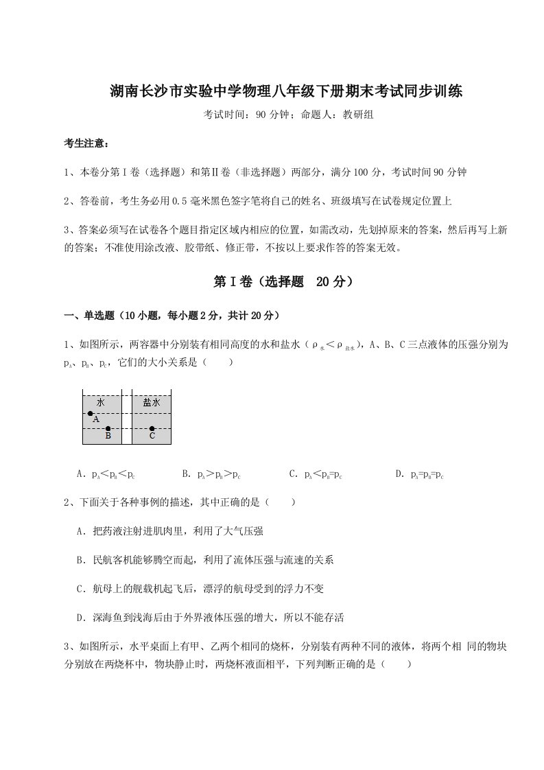 第二次月考滚动检测卷-湖南长沙市实验中学物理八年级下册期末考试同步训练试题（解析版）