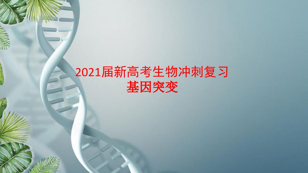 2021届新高考生物冲刺复习：基因突变ppt课件