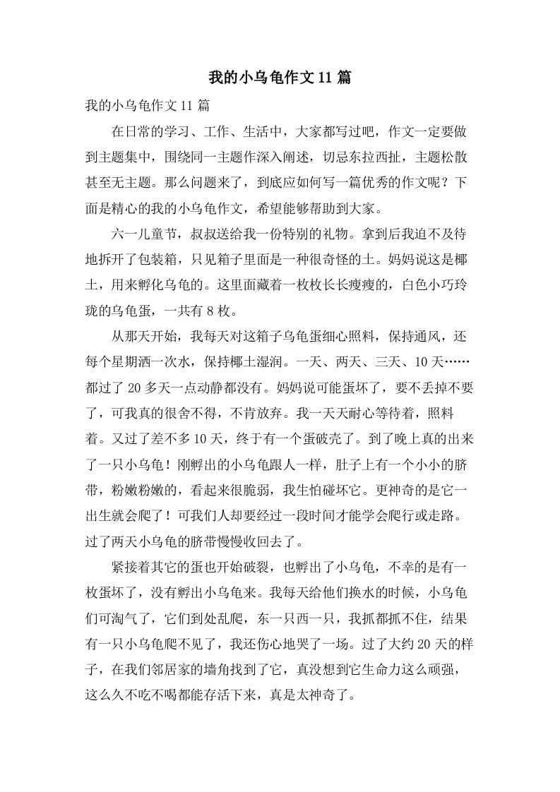 我的小乌龟作文11篇