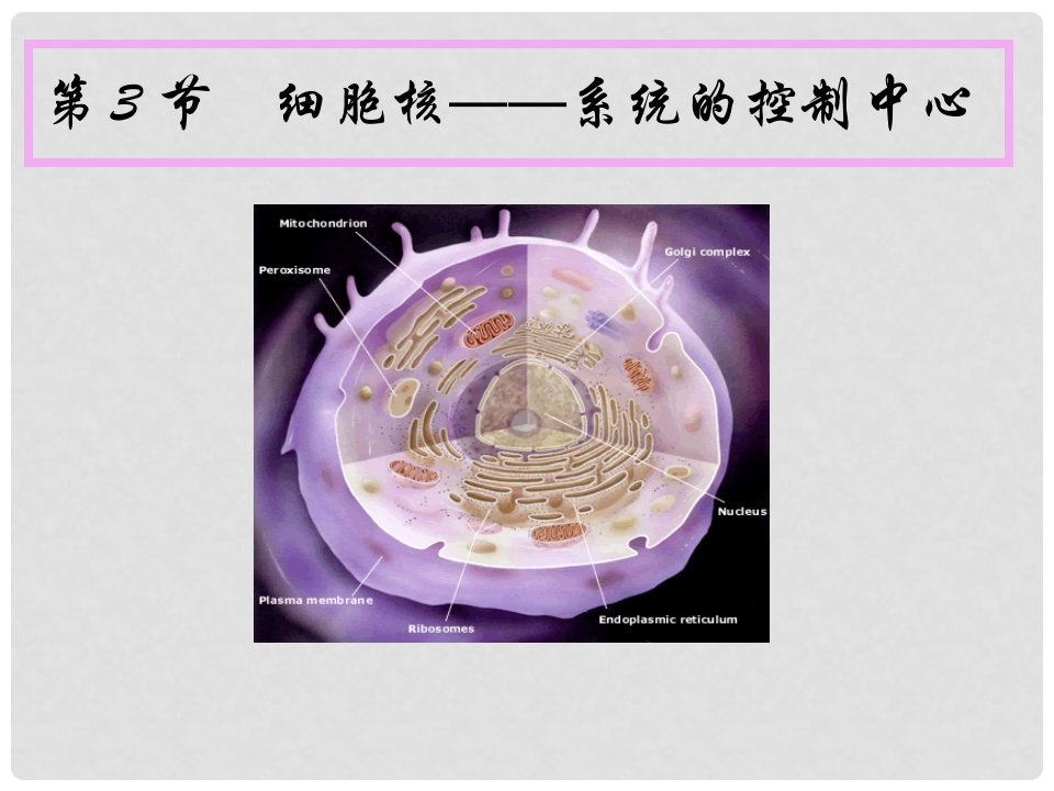 安徽省合肥市高中生物