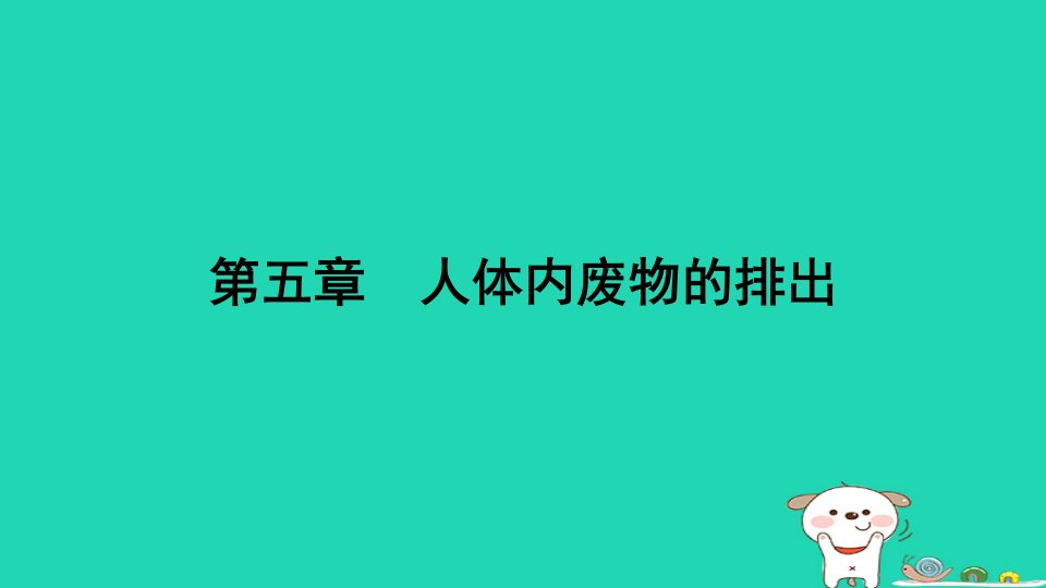 福建省2024七年级生物下册第四单元生物圈中的人第五章人体内废物的排出课件新版新人教版