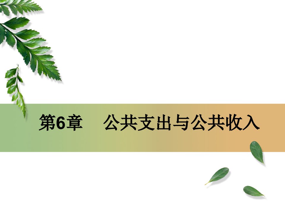 公共经济学教程PPT第6章公共支出与公共收入