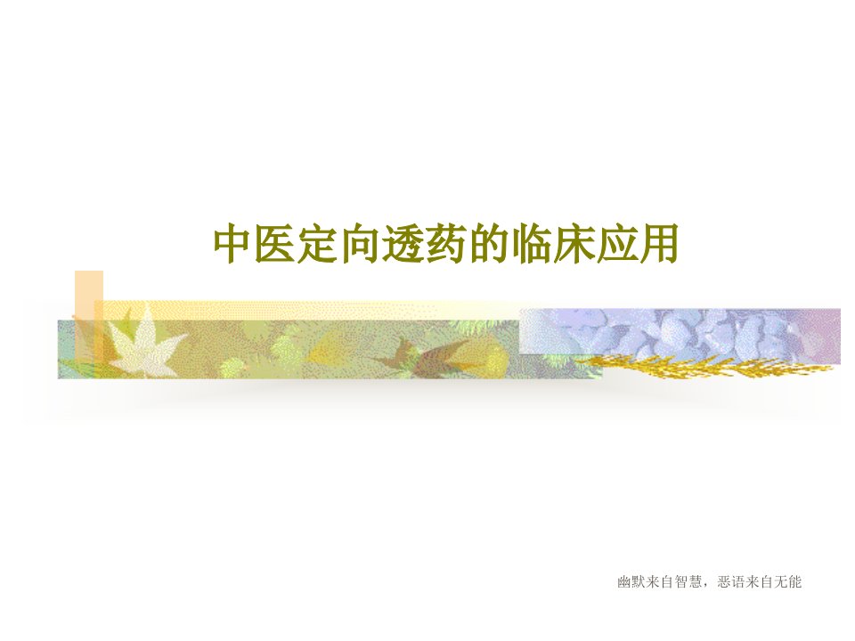 中医定向透药的临床应用共47页文档