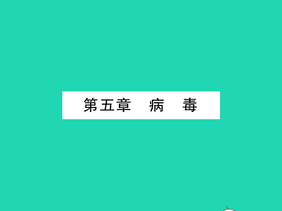 八年级生物上册第五单元生物圈中的其他生物第五章簿习题课件新版新人教版