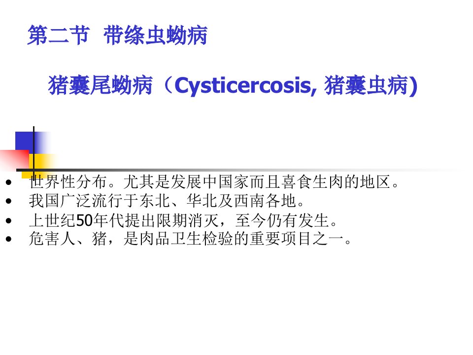 《绦虫病带绦虫蚴病》PPT课件