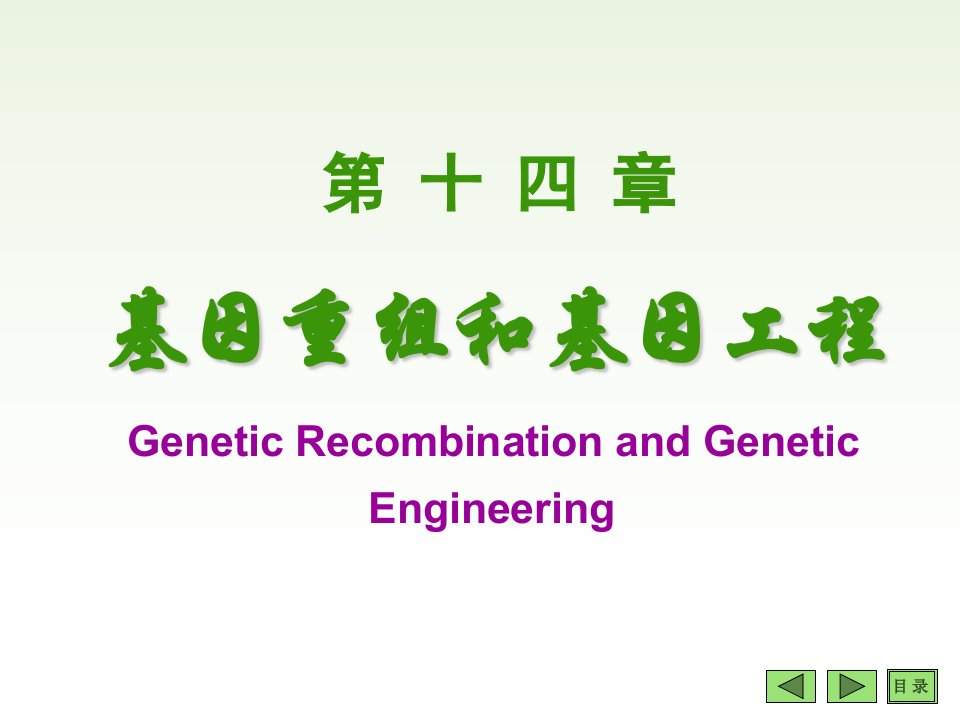 14基因重组和基因工程ppt-PowerPoint演示