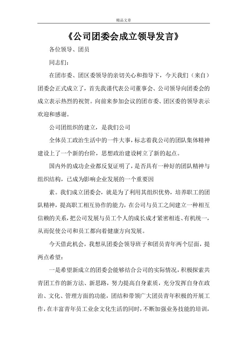 《公司团委会成立领导发言》