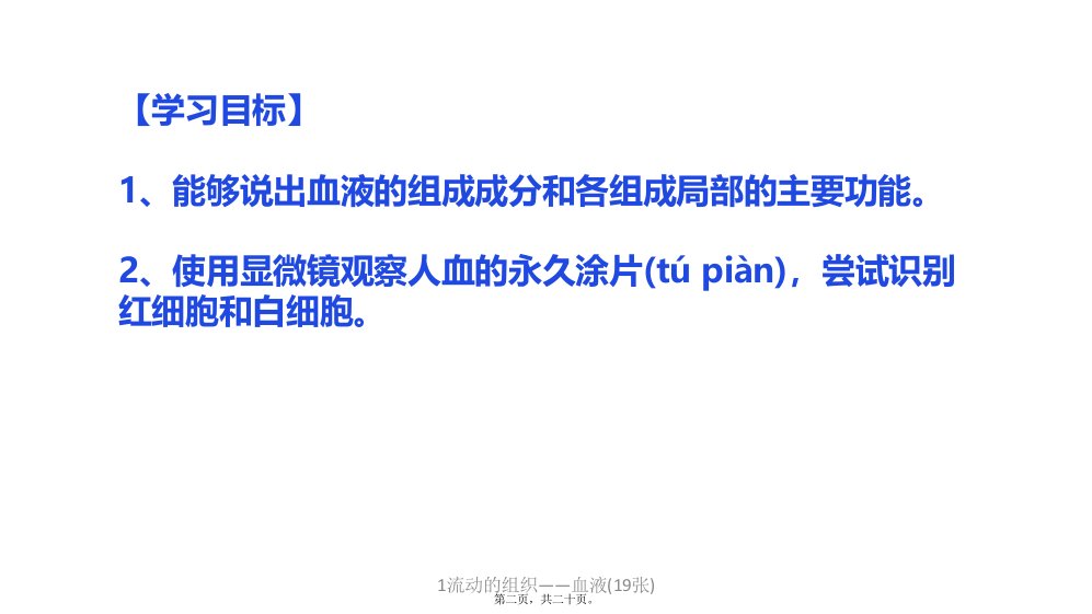 流动的组织血液19张课件