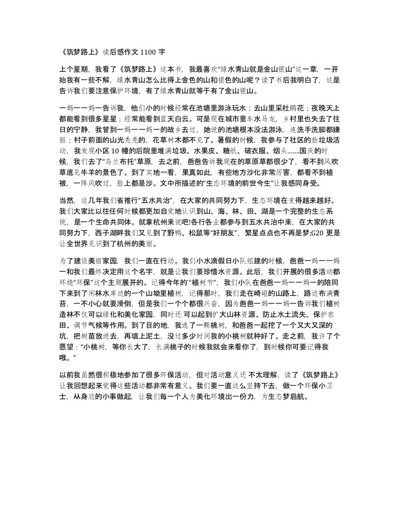 筑梦路上读后感作文1100字