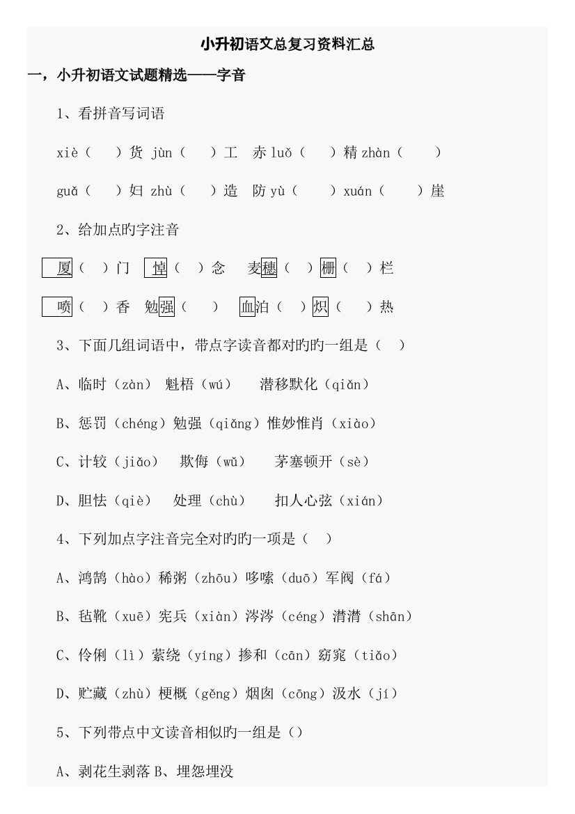 2023年最新版小升初语文总复习资料