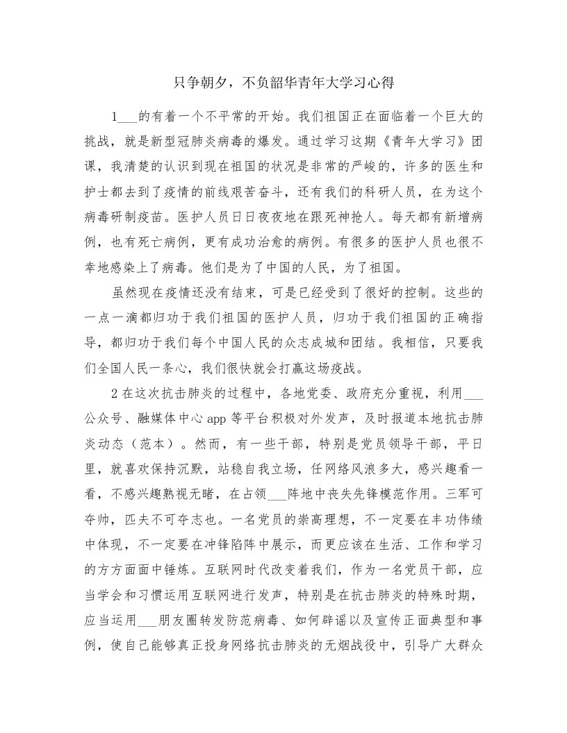 只争朝夕，不负韶华青年大学习心得