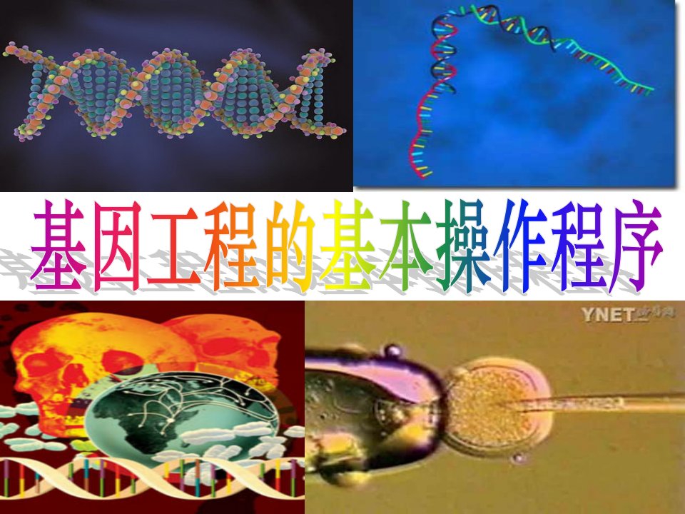 (自创)基因工程的基本操作程序