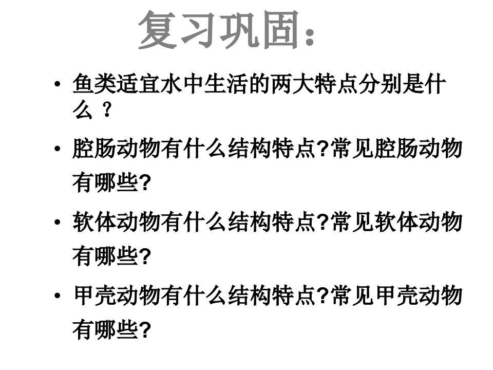 陆地生活的动物