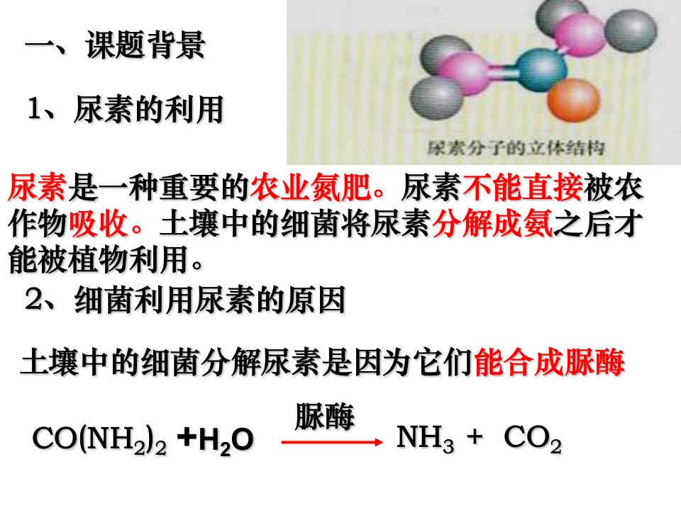 土壤中分解尿素的细菌的分离与计数上课ppt课件