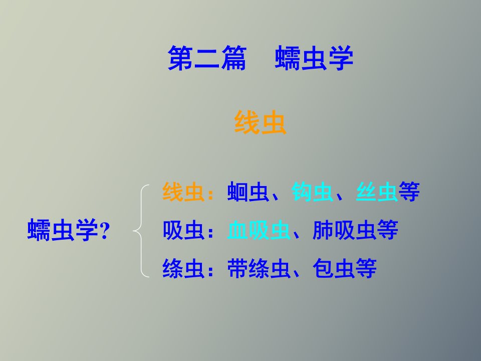 人体寄生虫学蛔虫鞭虫蛲虫