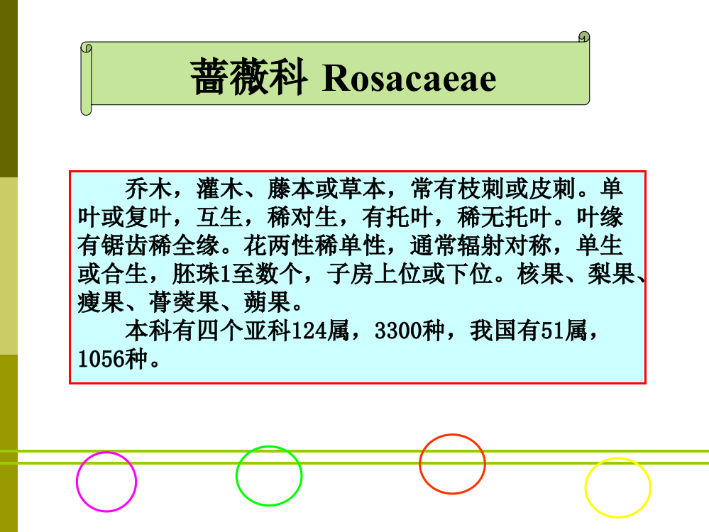 蔷薇科植物分类ppt课件