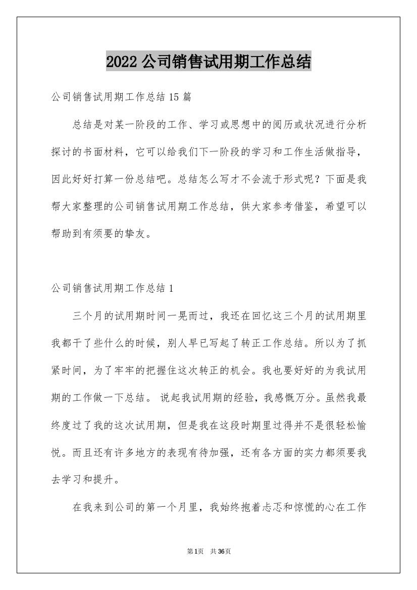 2022公司销售试用期工作总结_2