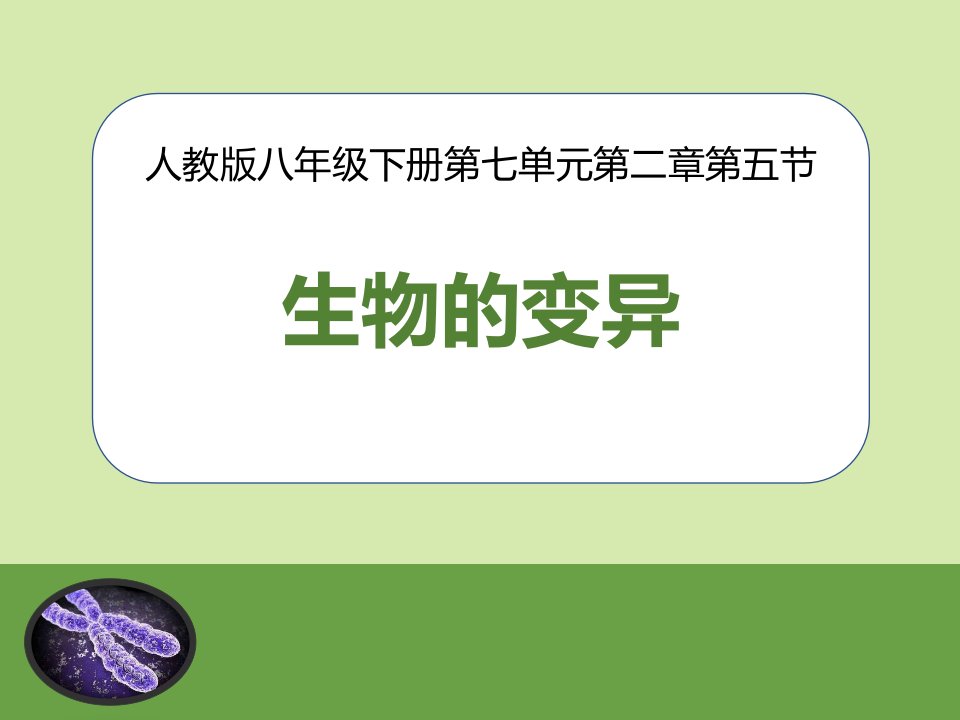 《生物的变异》教学课件