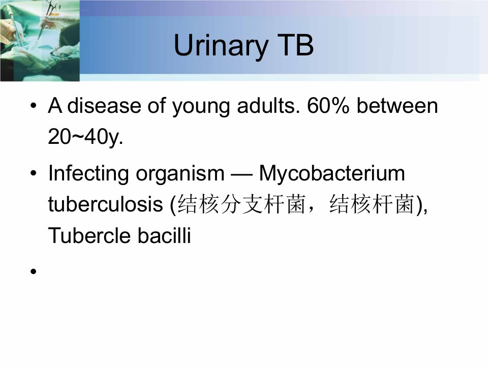 泌尿系结核PPT课件