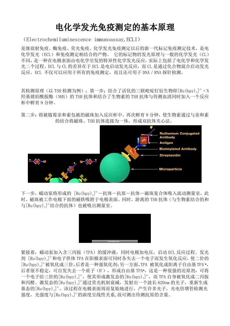 电化学发光免疫检测原理