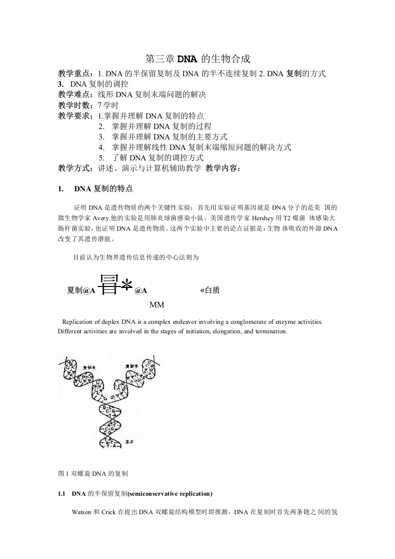 分子教案第三章DNA的生物合成