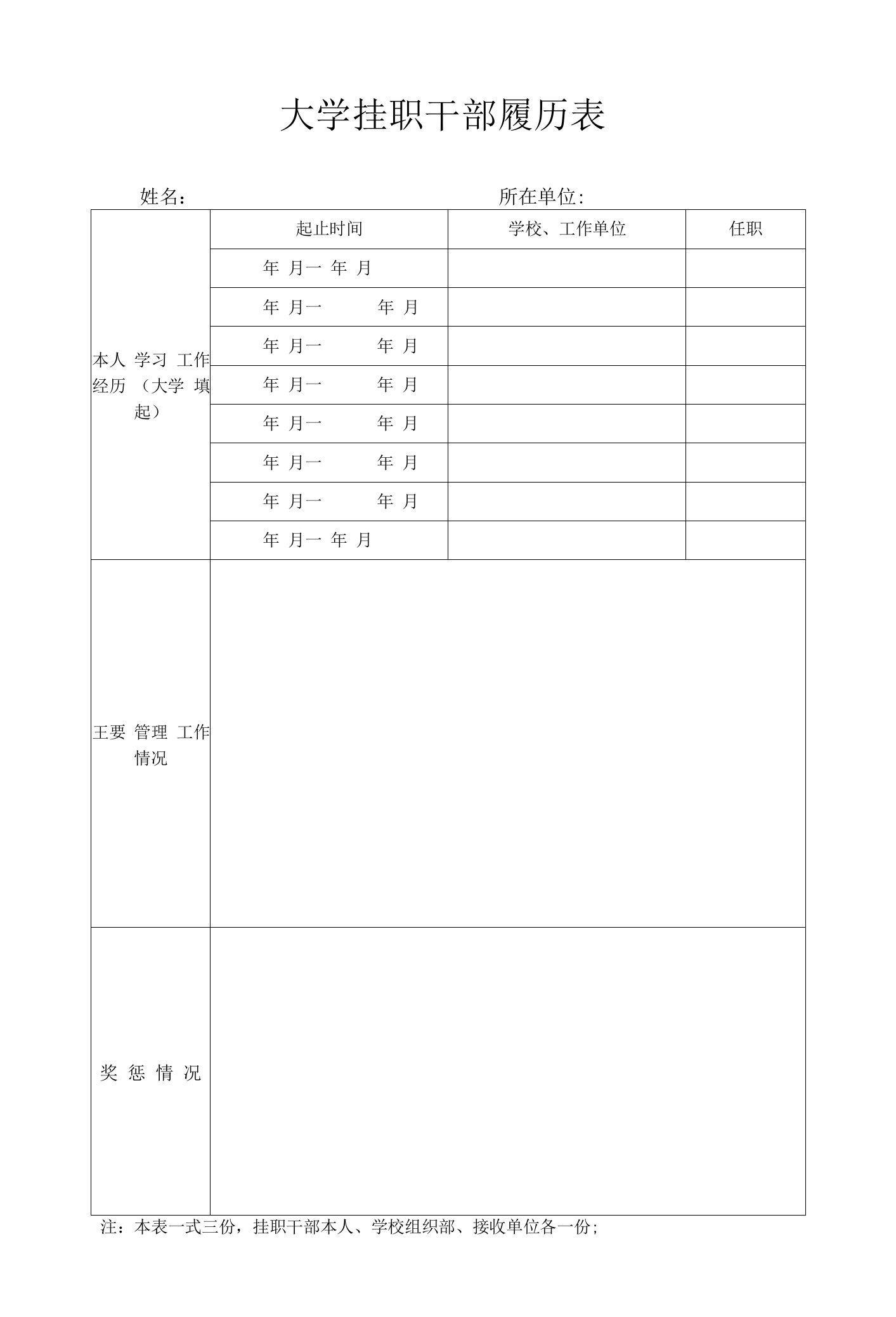 大学挂职干部履历表