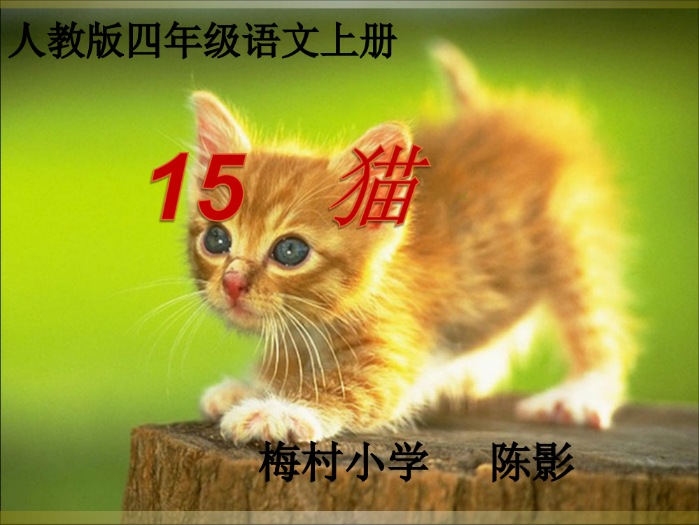 四年级语文上册15猫