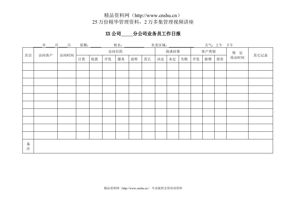 XX公司分公司业务员工作日报