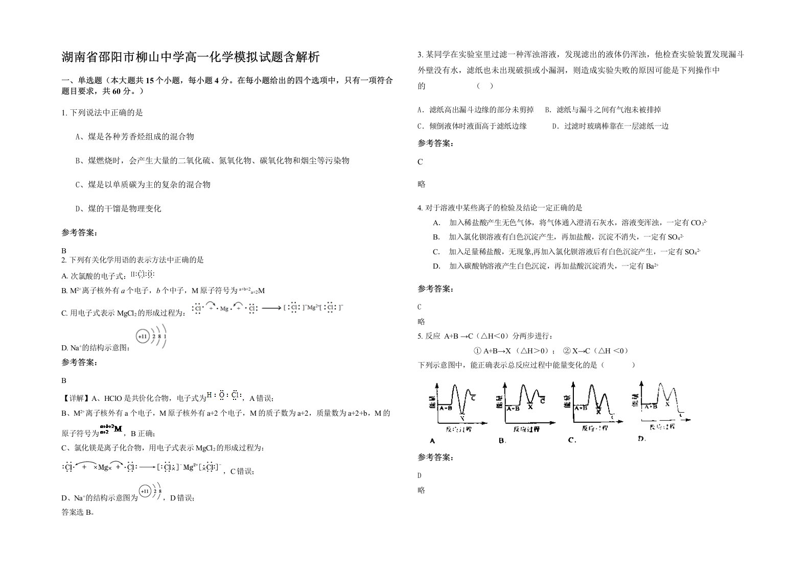 湖南省邵阳市柳山中学高一化学模拟试题含解析