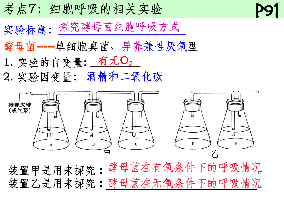 细胞呼吸实验