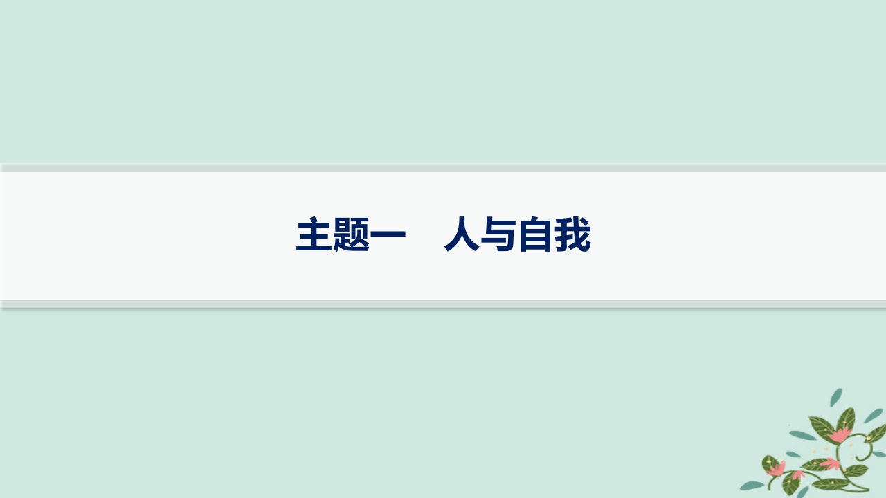 适用于新高考新教材备战2025届高考英语一轮总复习第三部分话题满分素材积累主题一人与自我课件外研版