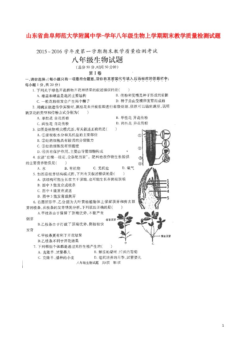 山东省曲阜师范大学附属中学八级生物上学期期末教学质量检测试题（扫描版）