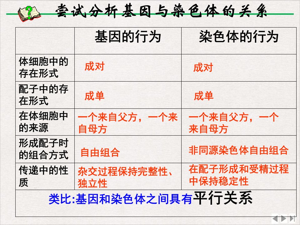 生物基因在染色体上课件