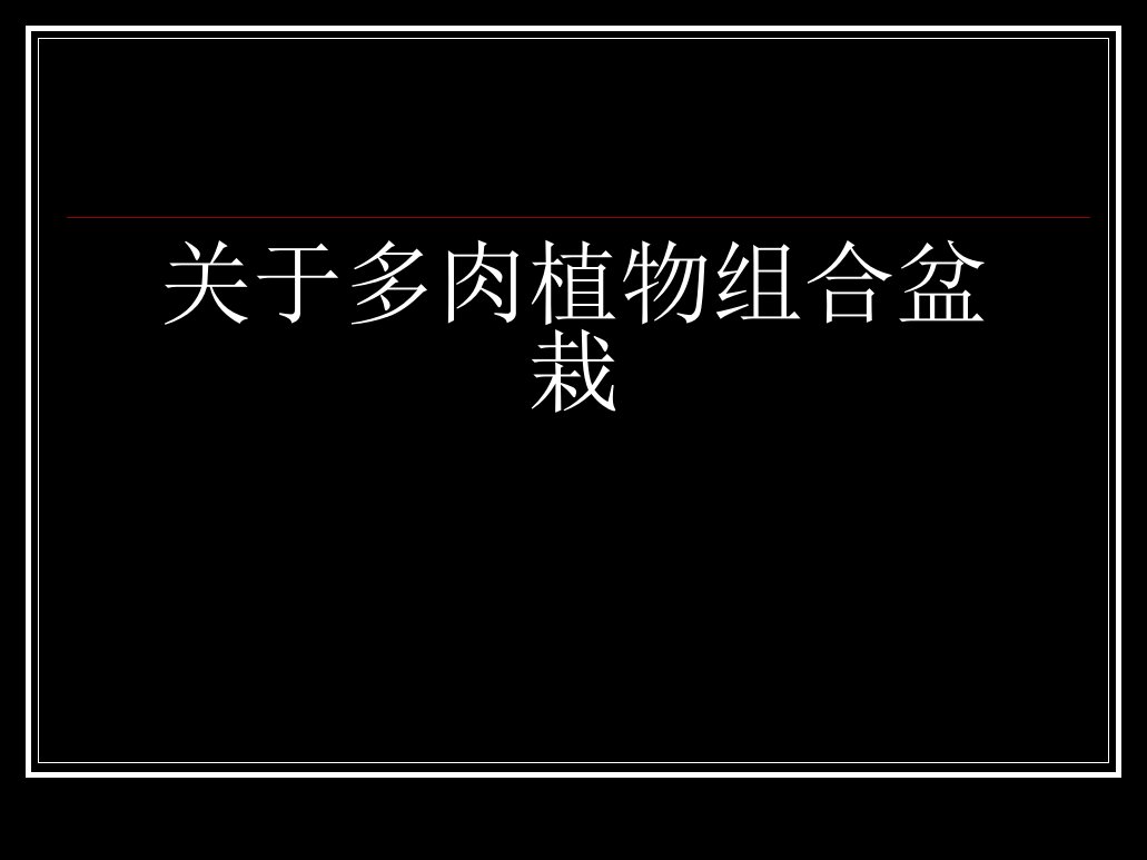 多肉植物组合盆栽课件