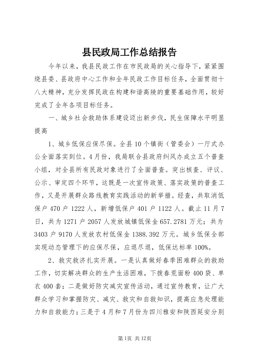 县民政局工作总结报告