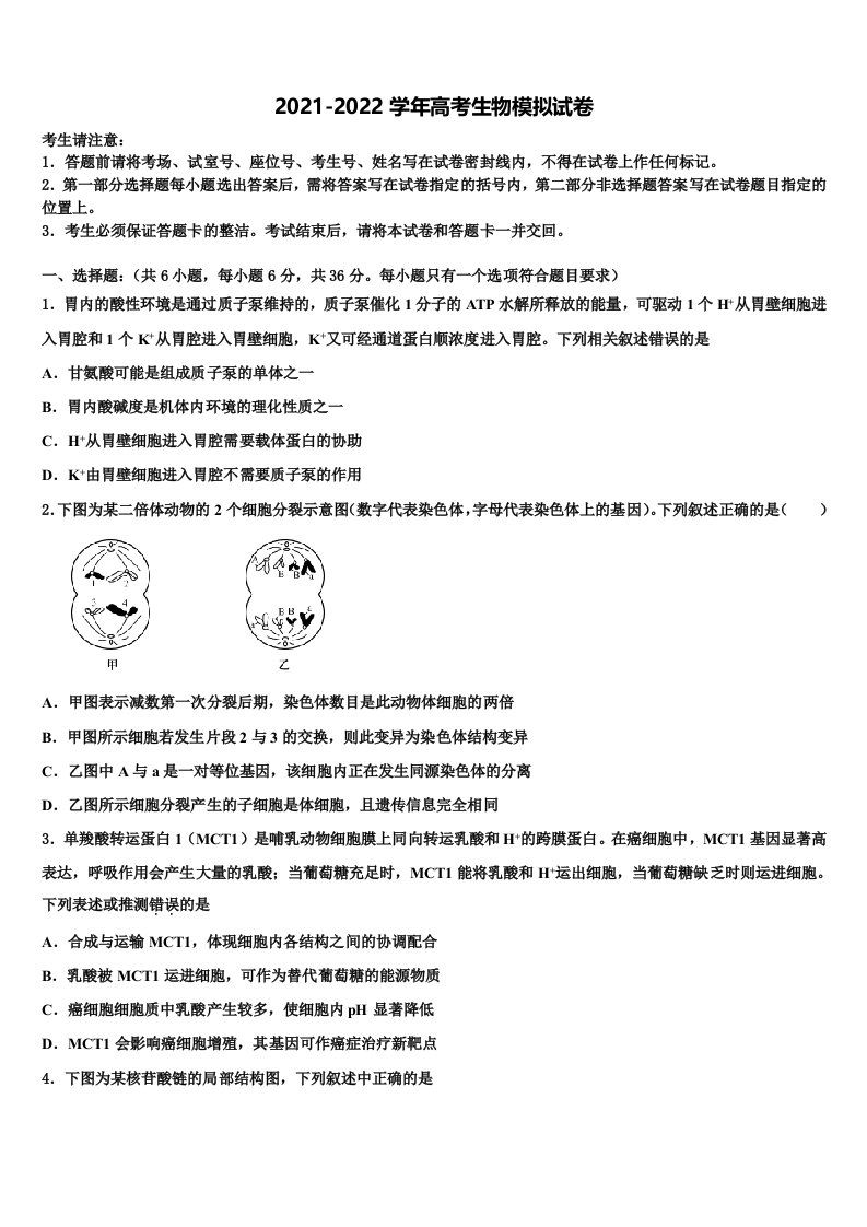 2022届湖南省石门县第二中学高三下学期第六次检测生物试卷含解析